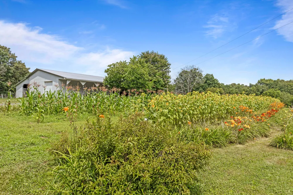 7055 Mooneyham Lonewood Road Spencer, TN 38585