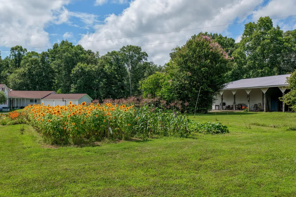 7055 Mooneyham Lonewood Road Spencer, TN 38585