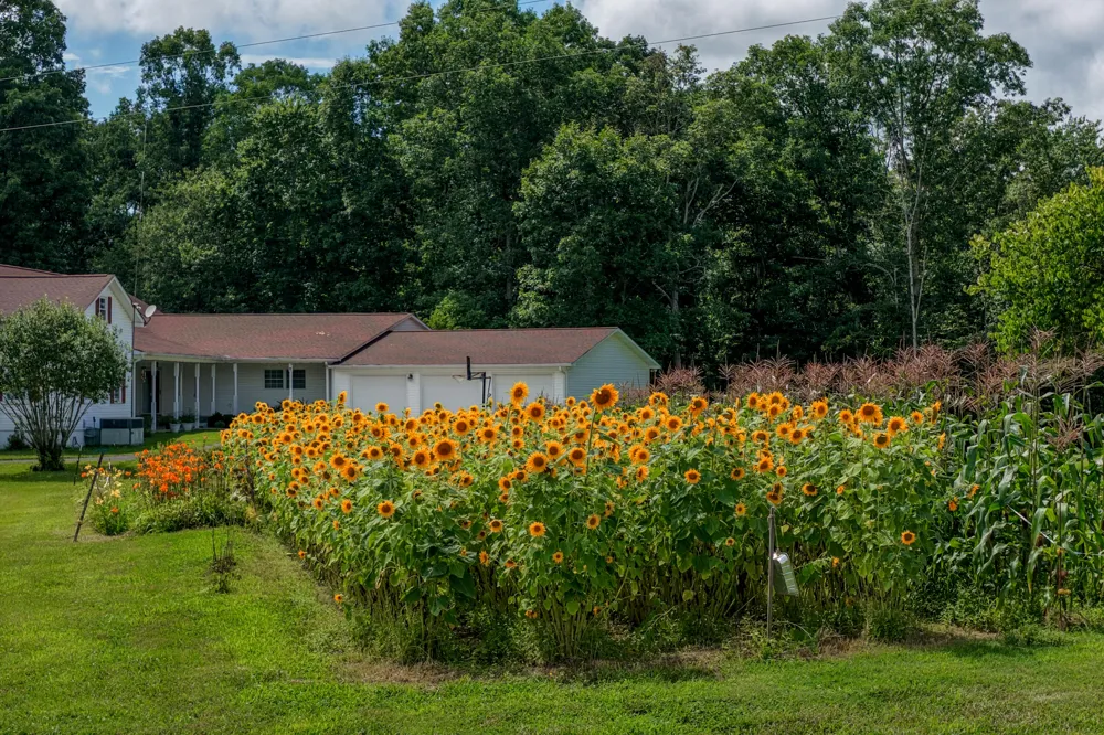 7055 Mooneyham Lonewood Road Spencer, TN 38585