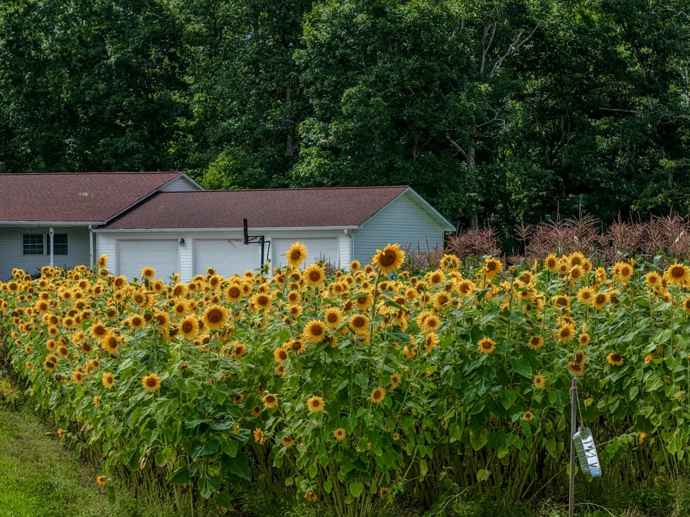7055 Mooneyham Lonewood Road Spencer, TN 38585