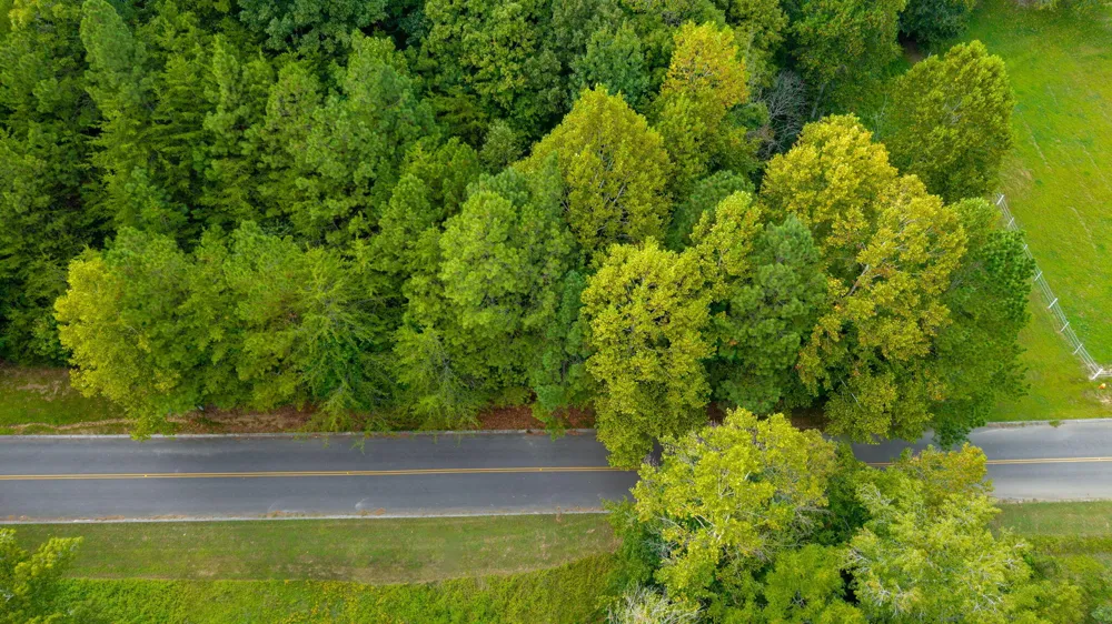 493 Mowery Circle NW Charleston, TN 37310