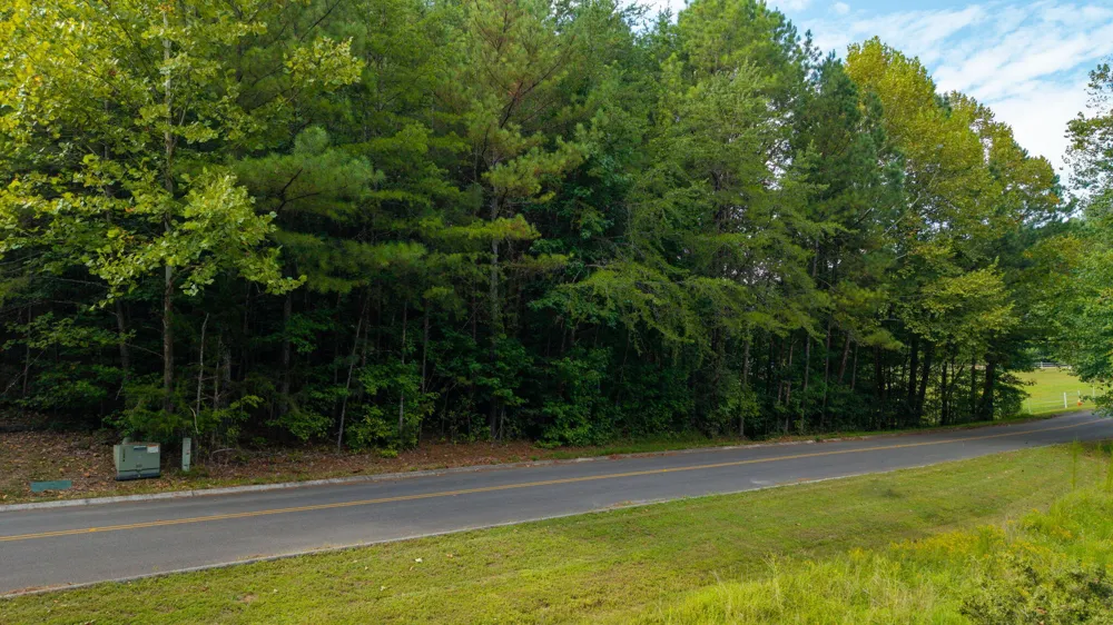 493 Mowery Circle NW Charleston, TN 37310