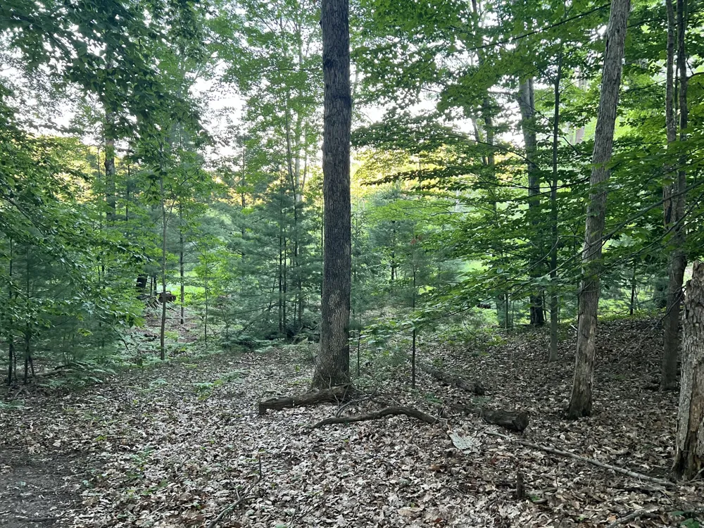 13 Northern Drive Pentwater, MI 49449