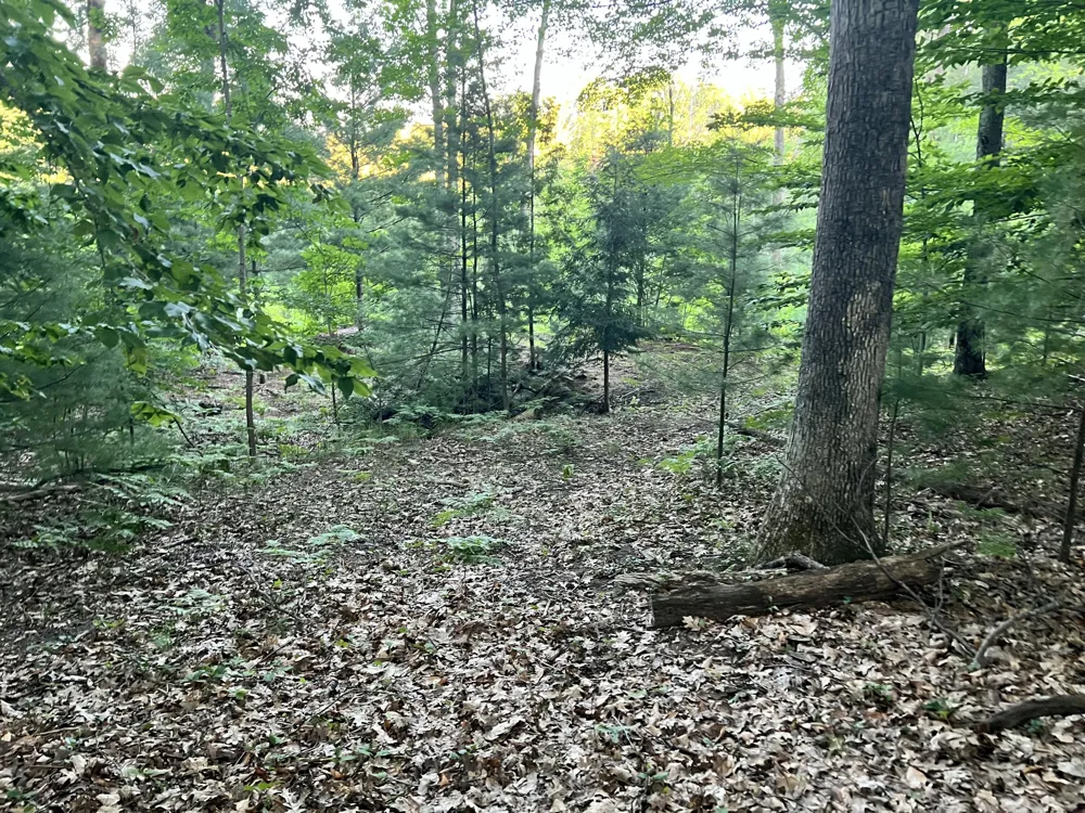 13 Northern Drive Pentwater, MI 49449