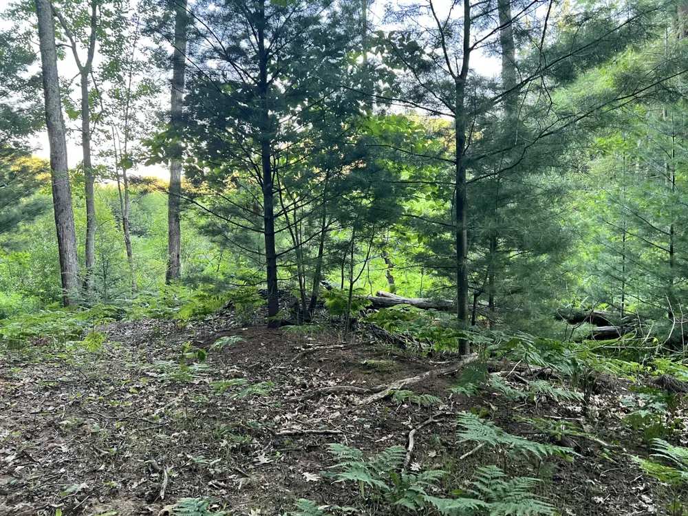 13 Northern Drive Pentwater, MI 49449