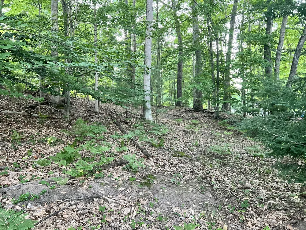13 Northern Drive Pentwater, MI 49449