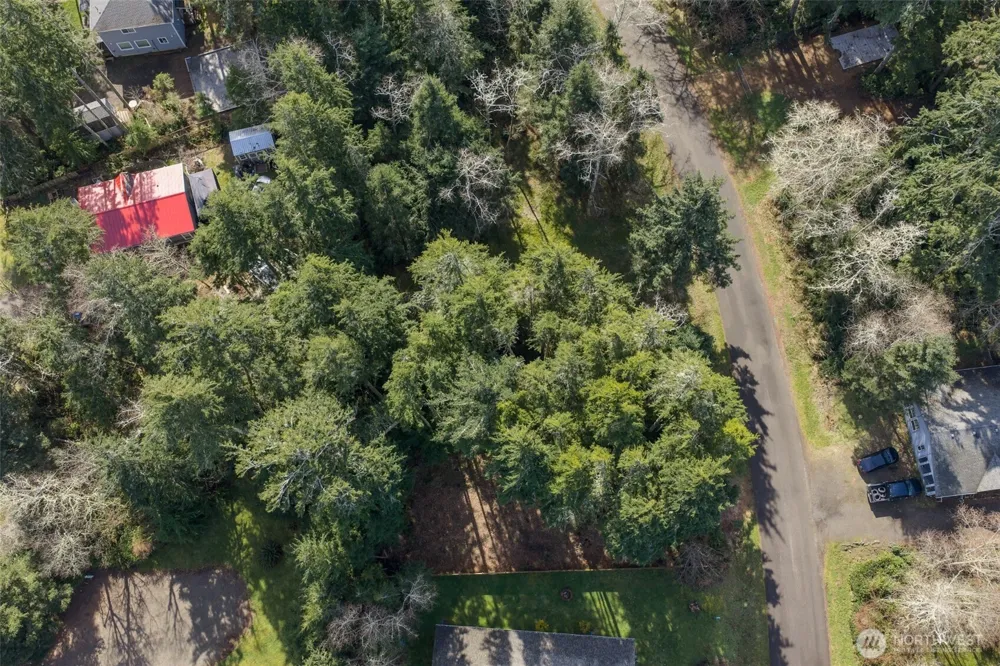 736 Chenois Avenue NE Ocean Shores, WA 98569