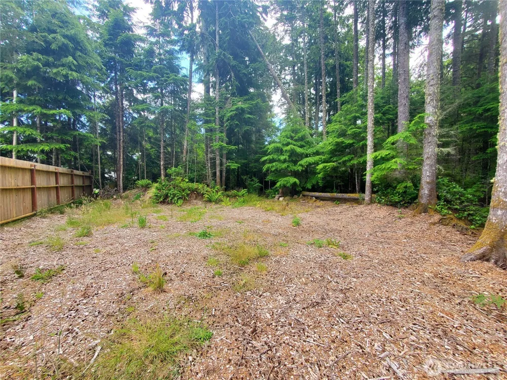 736 Chenois Avenue NE Ocean Shores, WA 98569