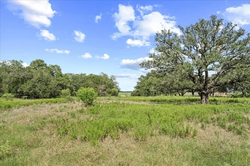 399 Prune Road La Grange, TX 78945