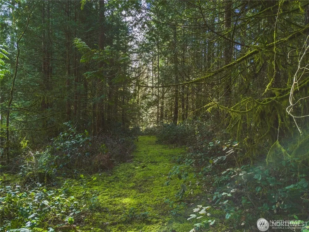 0 SW County Line Road Port Orchard, WA 98367