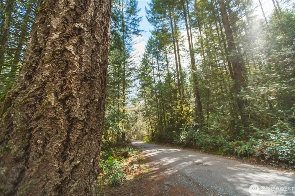 0 SW County Line Road Port Orchard, WA 98367