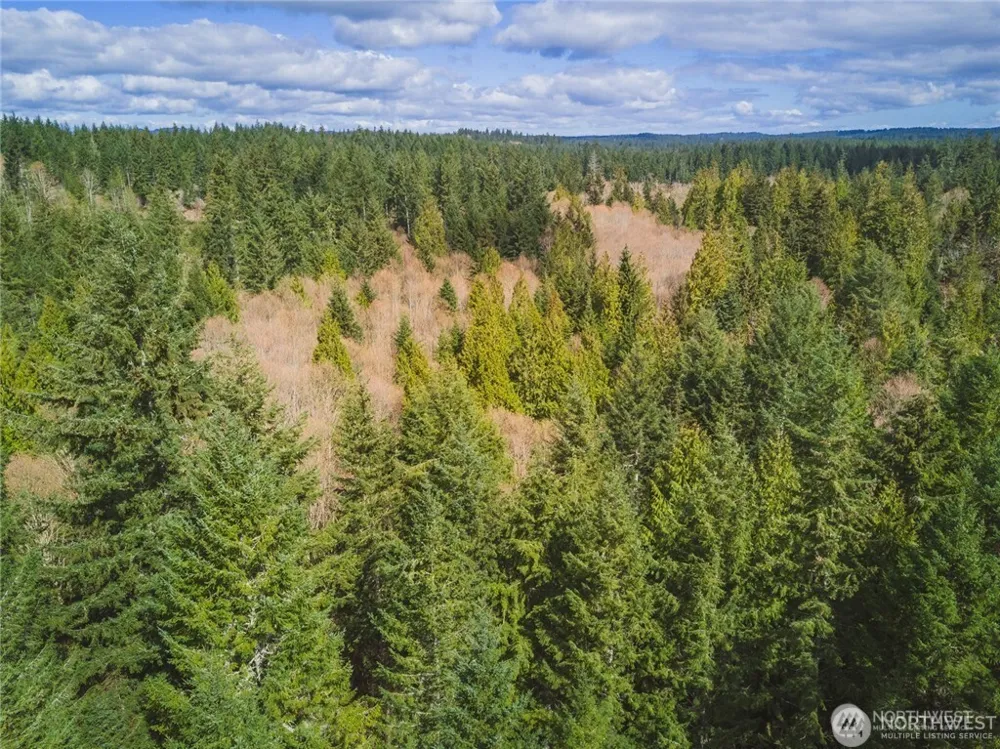 0 SW County Line Road Port Orchard, WA 98367