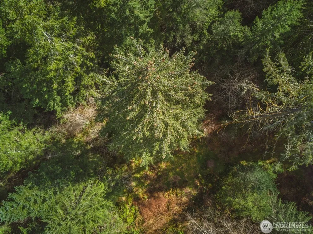 0 SW County Line Road Port Orchard, WA 98367