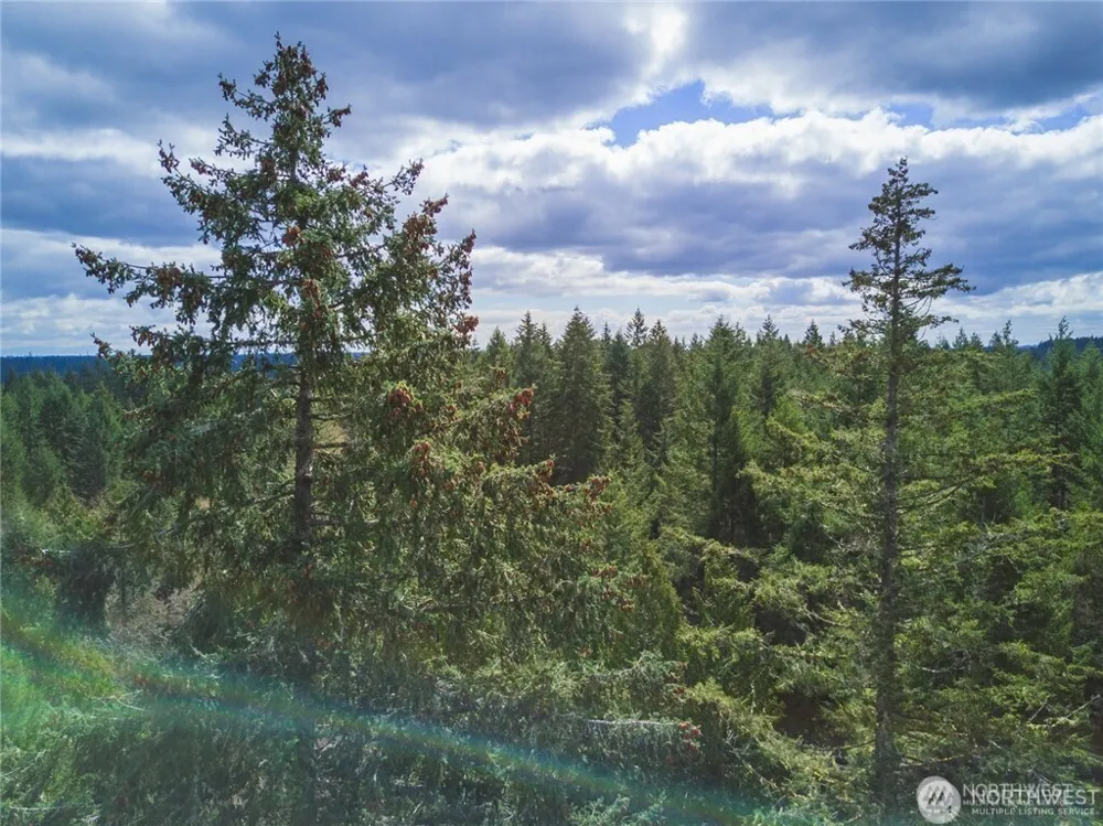 0 SW County Line Road Port Orchard, WA 98367