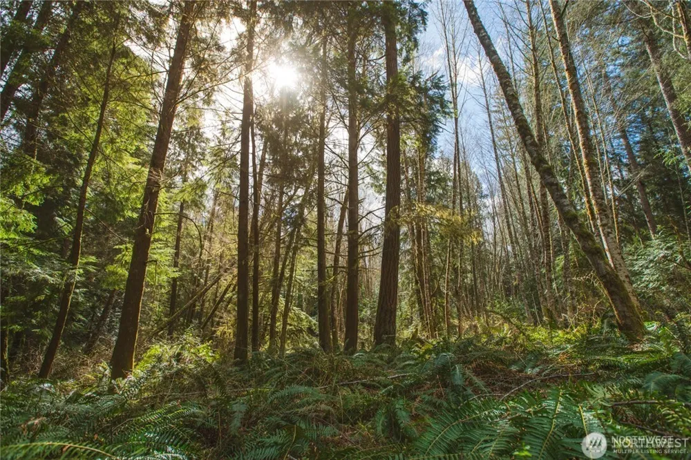 0 SW County Line Road Port Orchard, WA 98367