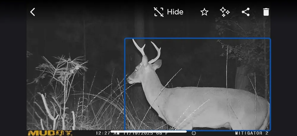 Timber Ranch Rd Apple Springs, TX 75926