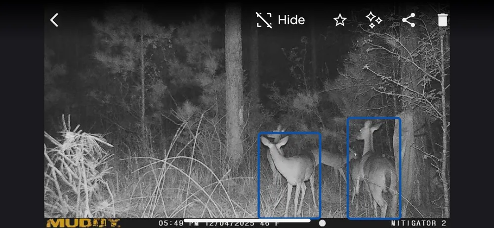 Timber Ranch Rd Apple Springs, TX 75926