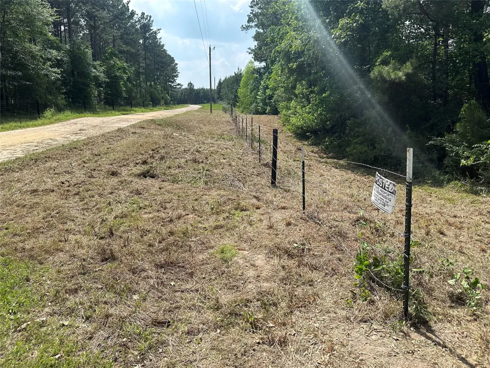 Timber Ranch Rd Apple Springs, TX 75926