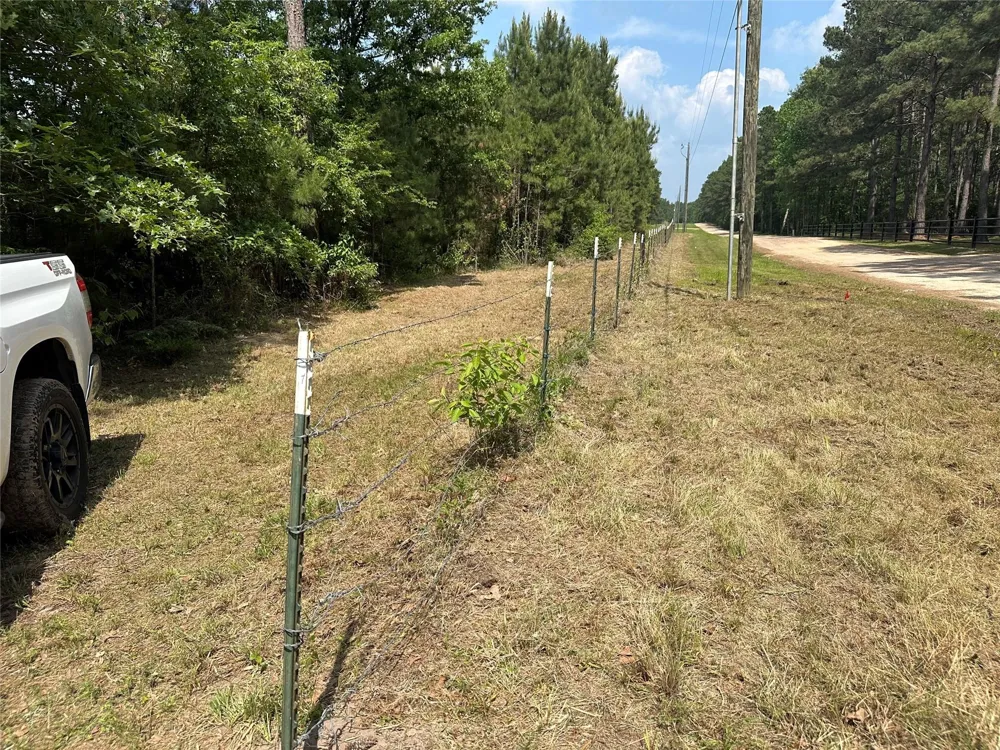 Timber Ranch Rd Apple Springs, TX 75926
