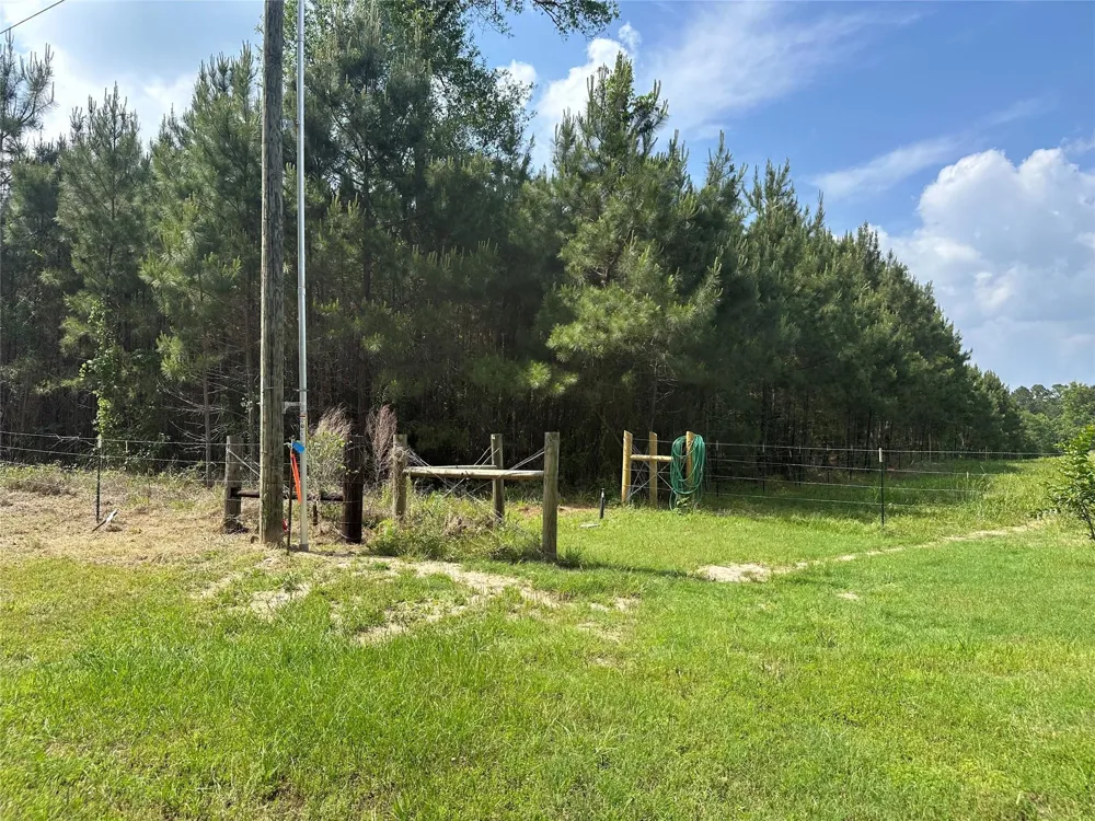 Timber Ranch Rd Apple Springs, TX 75926