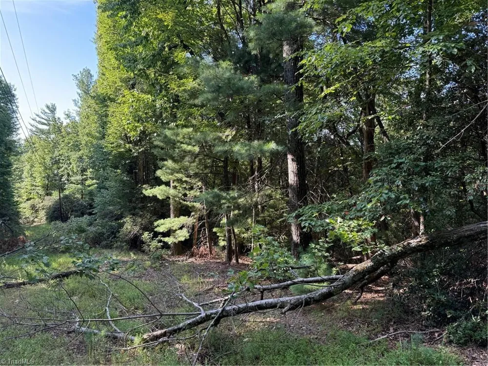 00 Timber Ridge Road Millers Creek, NC 28651
