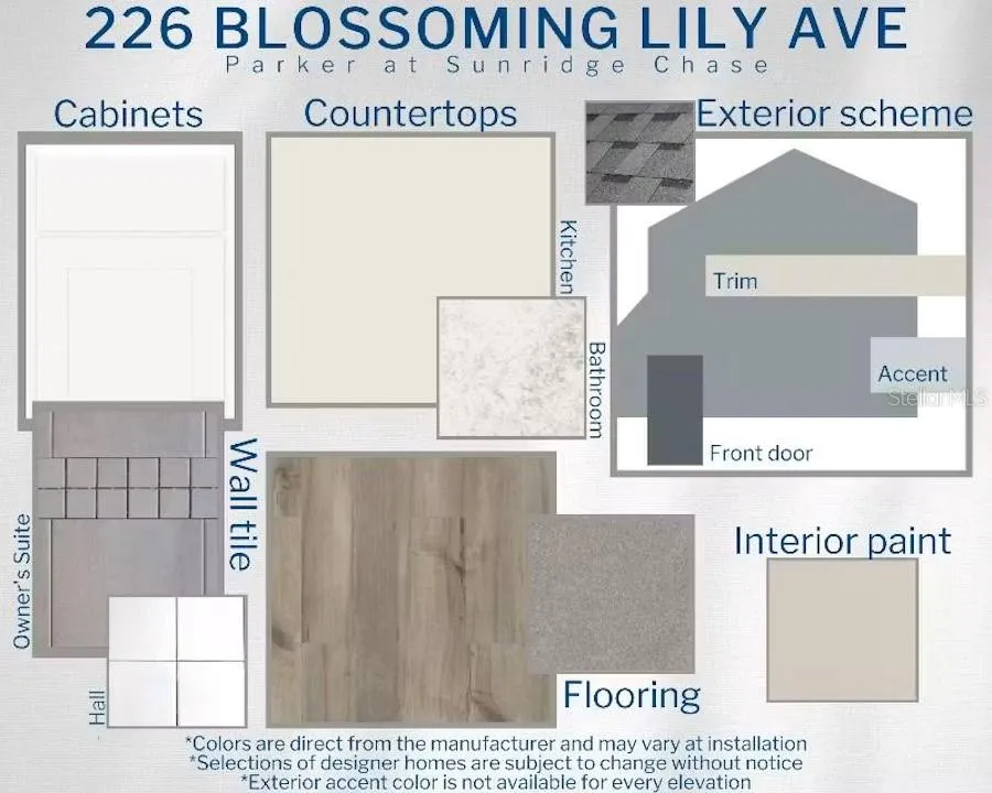 226 BLOSSOMING LILY AVENUE Ruskin, FL 33570