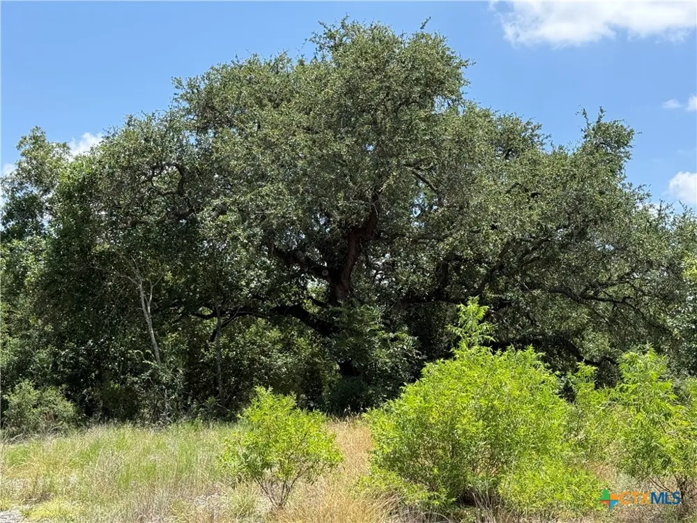 1182 Kenton Parkway Salado, TX 76571