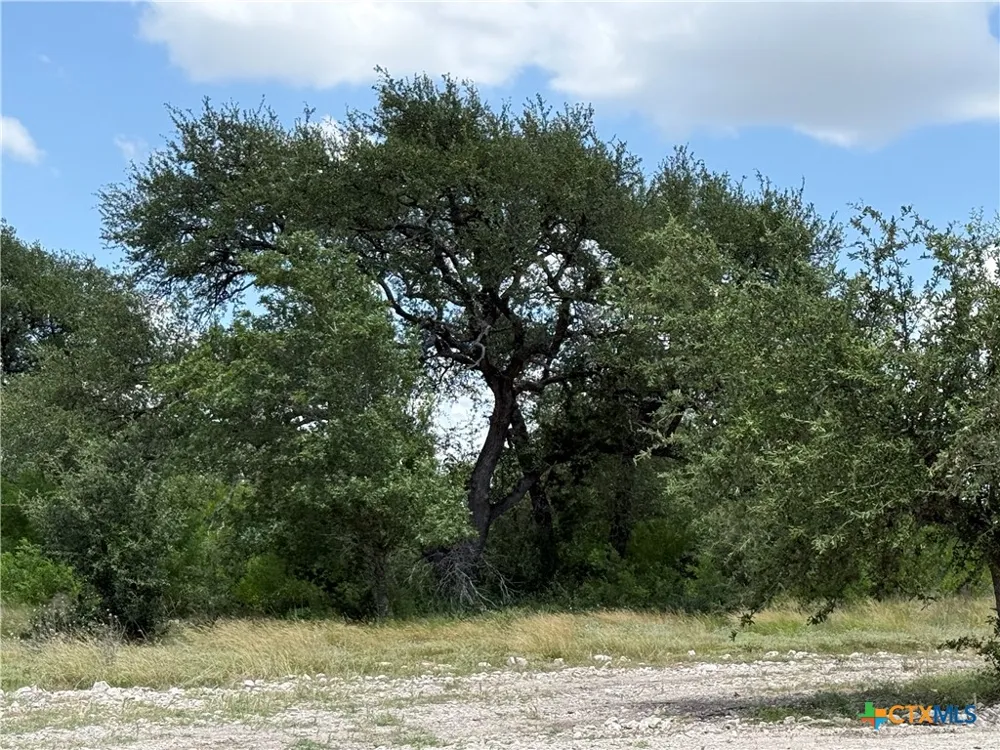 1182 Kenton Parkway Salado, TX 76571