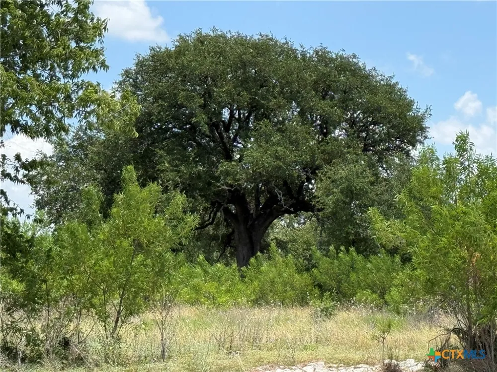 1182 Kenton Parkway Salado, TX 76571