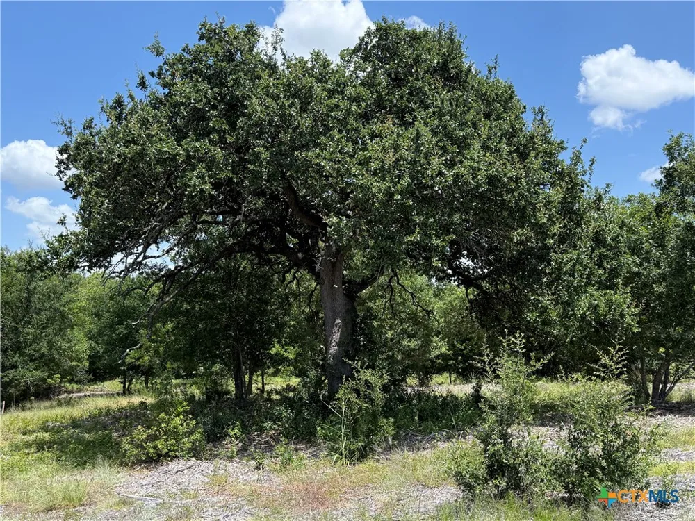 1182 Kenton Parkway Salado, TX 76571