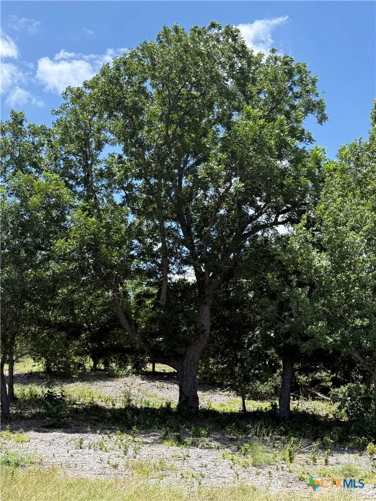 1182 Kenton Parkway Salado, TX 76571