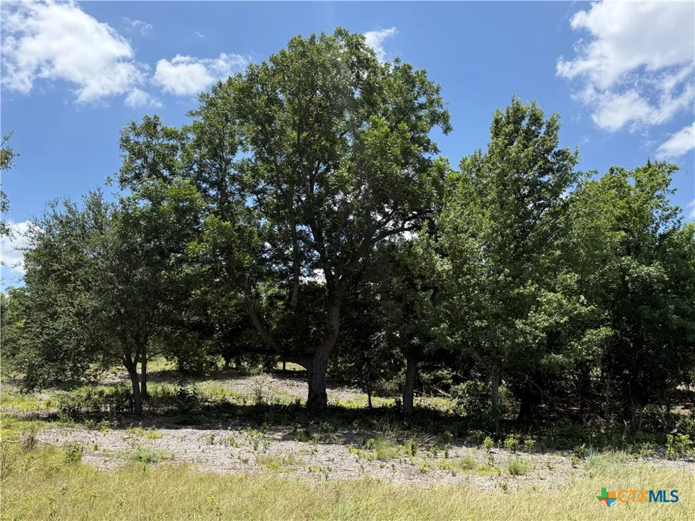 1182 Kenton Parkway Salado, TX 76571