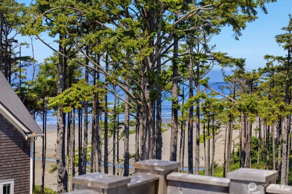 32 Ocean Tide Lane Pacific Beach, WA 98571