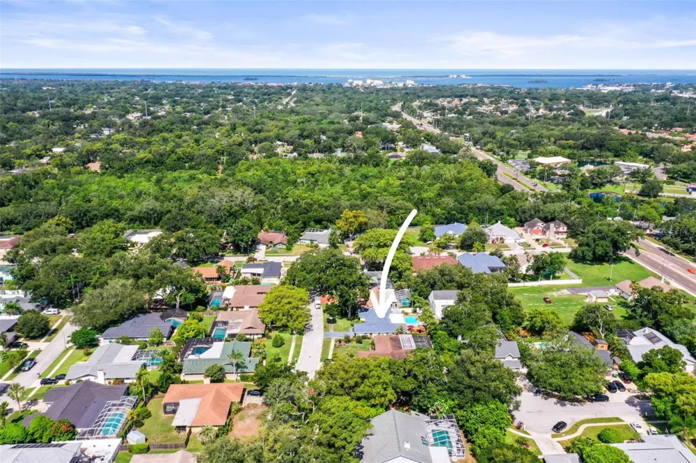 1981 CASTILLE DRIVE Dunedin, FL 34698