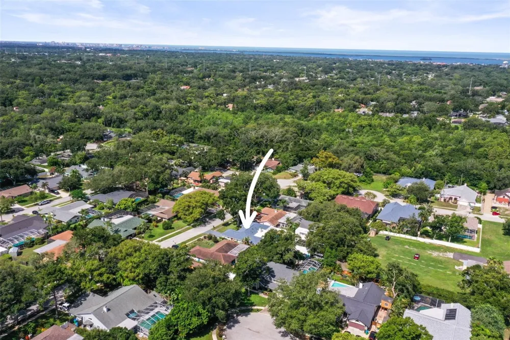 1981 CASTILLE DRIVE Dunedin, FL 34698
