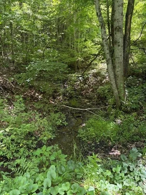 00 Shoaf Lane