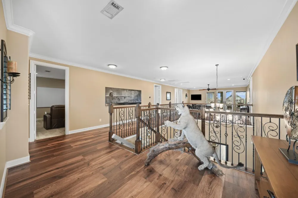 729 Pegasus Lane League City, TX 77573