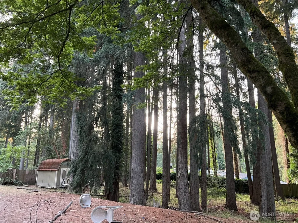 6928 20th Avenue SE Lacey, WA 98503