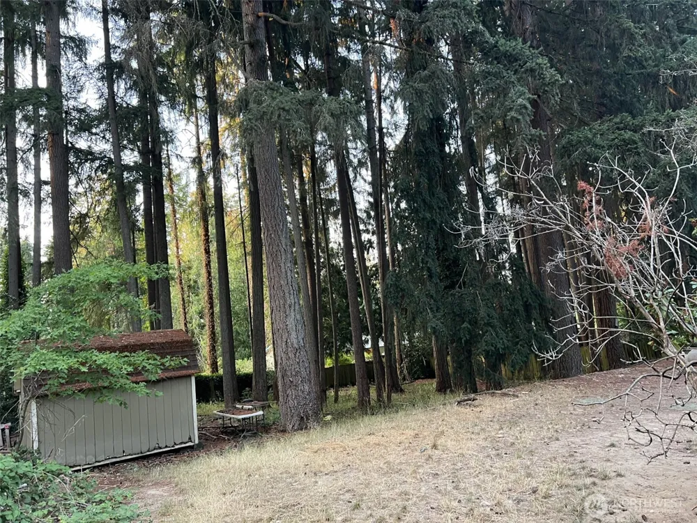 6928 20th Avenue SE Lacey, WA 98503