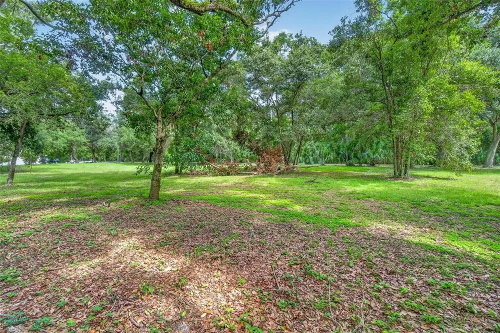 ABBEY LAKE ROAD Clearwater, FL 33759