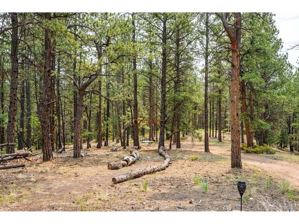 1459 Conestoga Creek Road Florissant, CO 80816