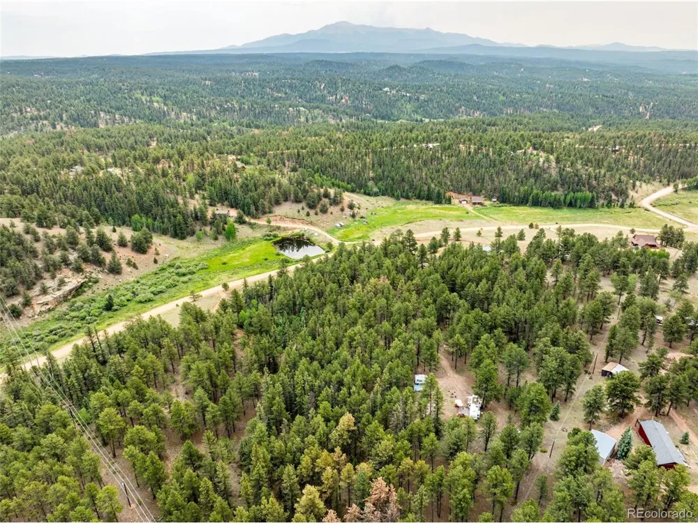 1459 Conestoga Creek Road Florissant, CO 80816