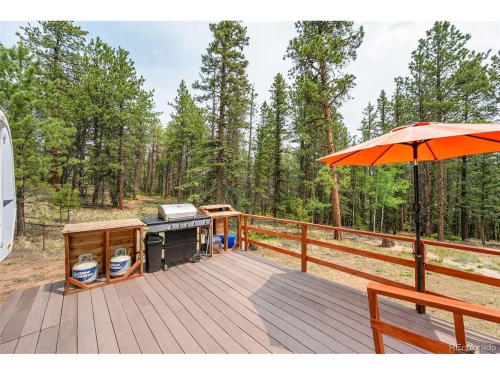 1459 Conestoga Creek Road Florissant, CO 80816