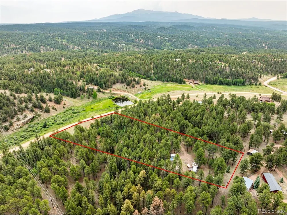 1459 Conestoga Creek Road Florissant, CO 80816