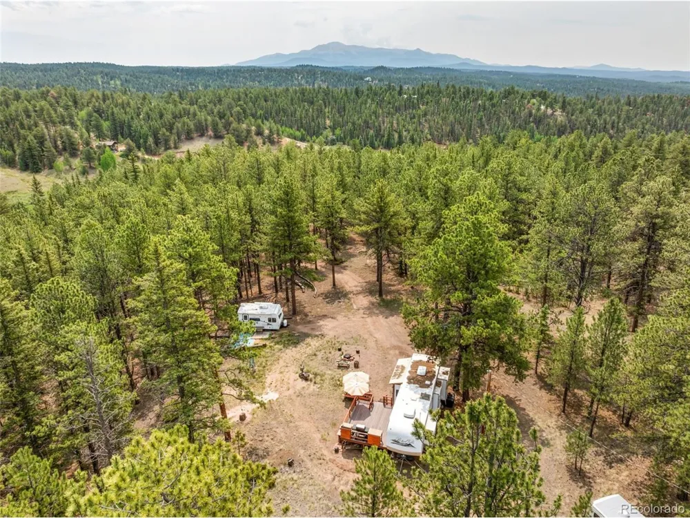 1459 Conestoga Creek Road Florissant, CO 80816