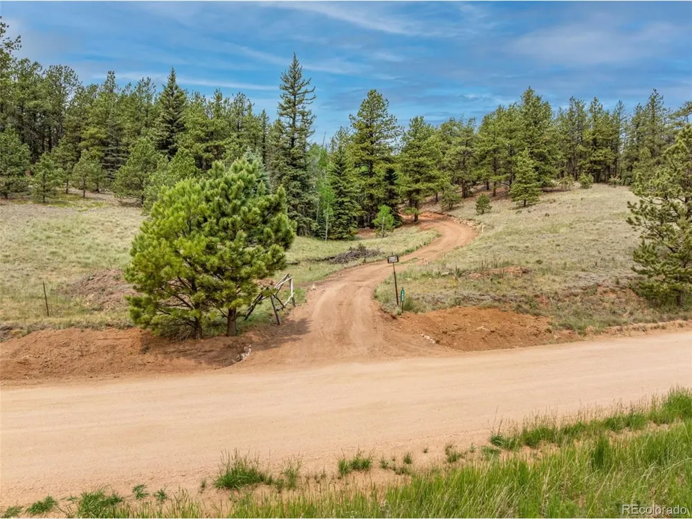 1459 Conestoga Creek Road Florissant, CO 80816
