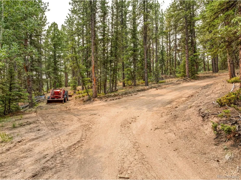 1459 Conestoga Creek Road Florissant, CO 80816