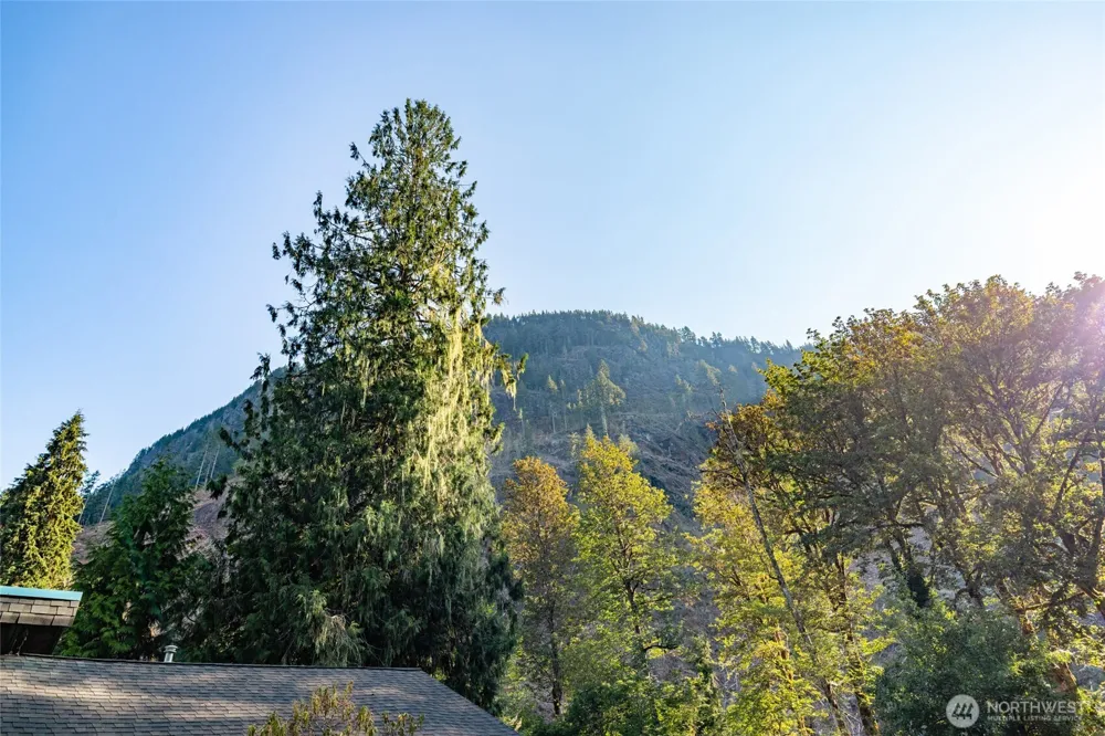 14784 Mountain View Lane Concrete, WA 98237