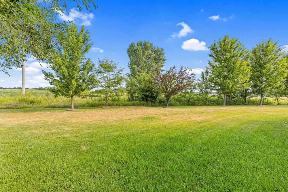 914 Prestwick Drive Belle Plaine, MN 56011