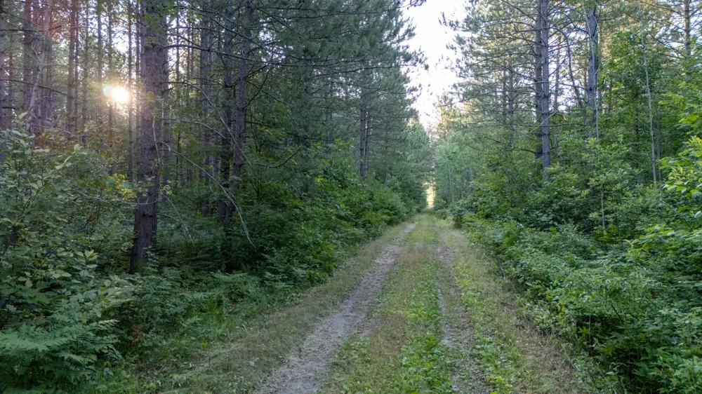 NESW Forest Road 3845 NE Pennington, MN 56663